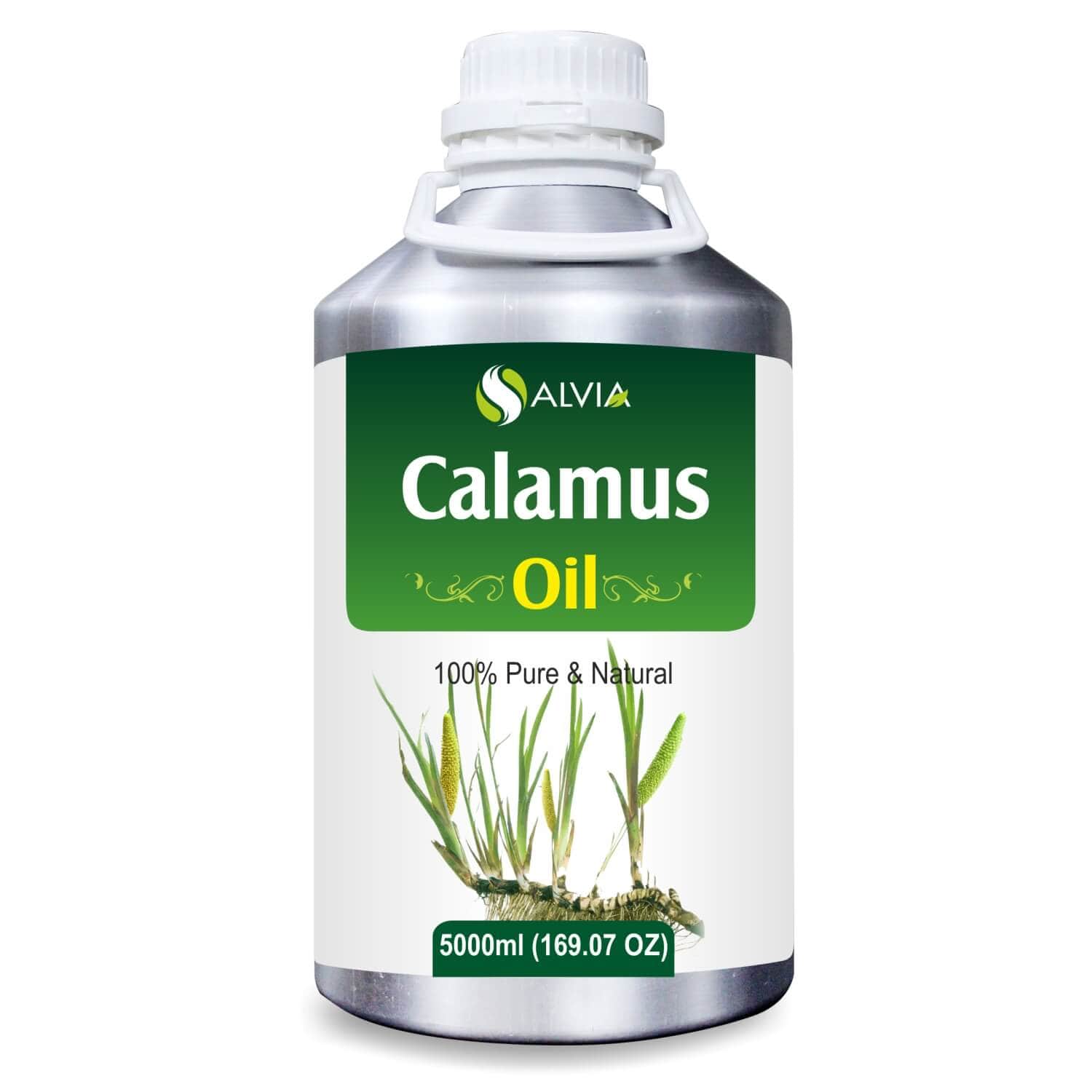 Salvia Natural Essential Oils 5000ml Calamus Oil (Acorus Calamus) 100% Natural Pure Essential Oil Used in Aromatherapy, Treats Insomnia, & Headaches, Boosts Metabolism